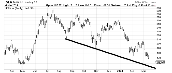 3-14-24-TS-tsla (9)