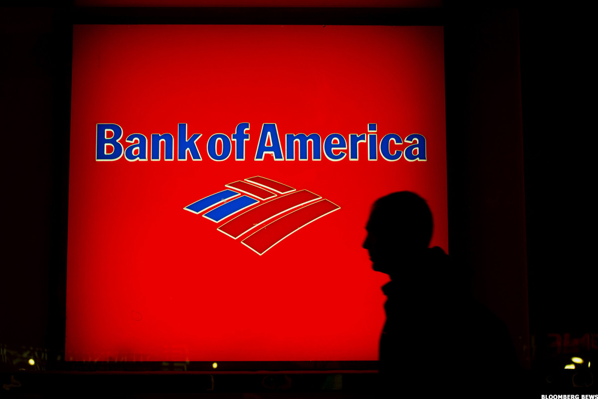 Chicken Little Visits Bank Of America - TheStreet Pro