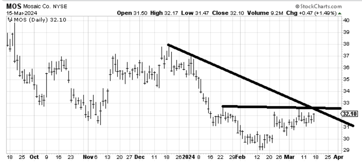 No Bull: We Haven't Been This Bullish in 20 Years. Guess What Happened ...