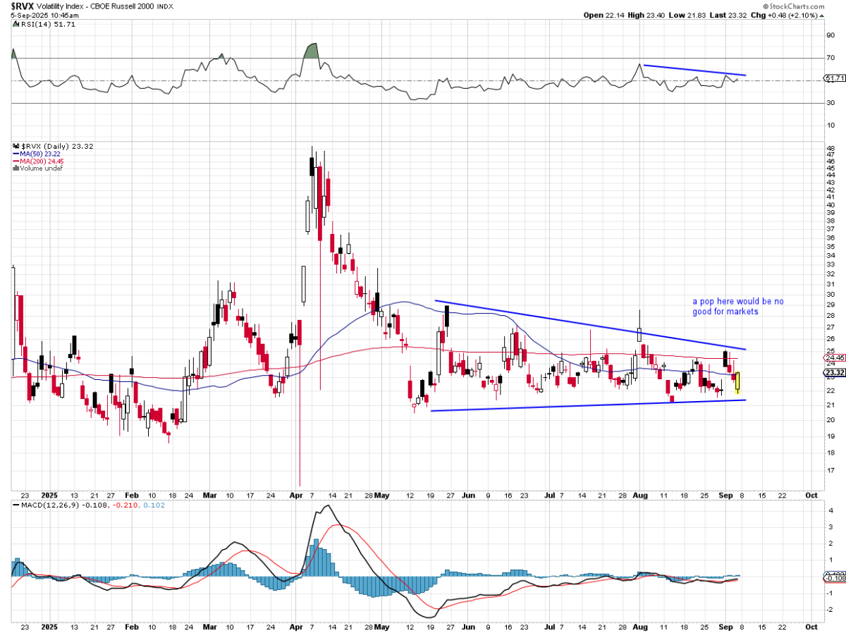 Weekly Roundup: Portfolio Treads Water While Market Questions Need for Rate  Cuts - TheStreet Pro