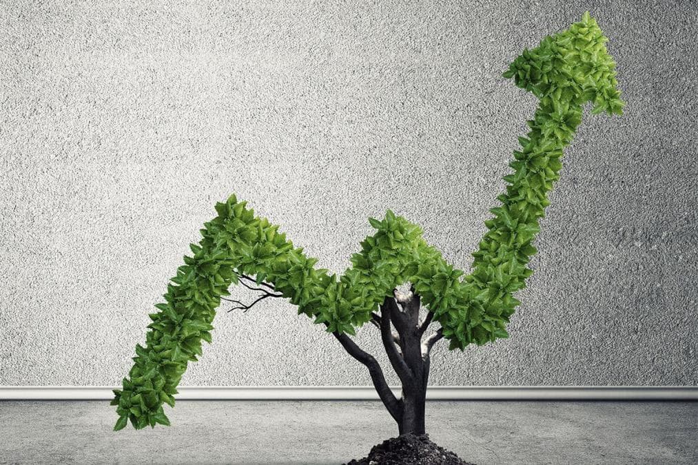 Growth Stocks Exist Outside of Tech. I'm Eyeing Two of Them Right Now