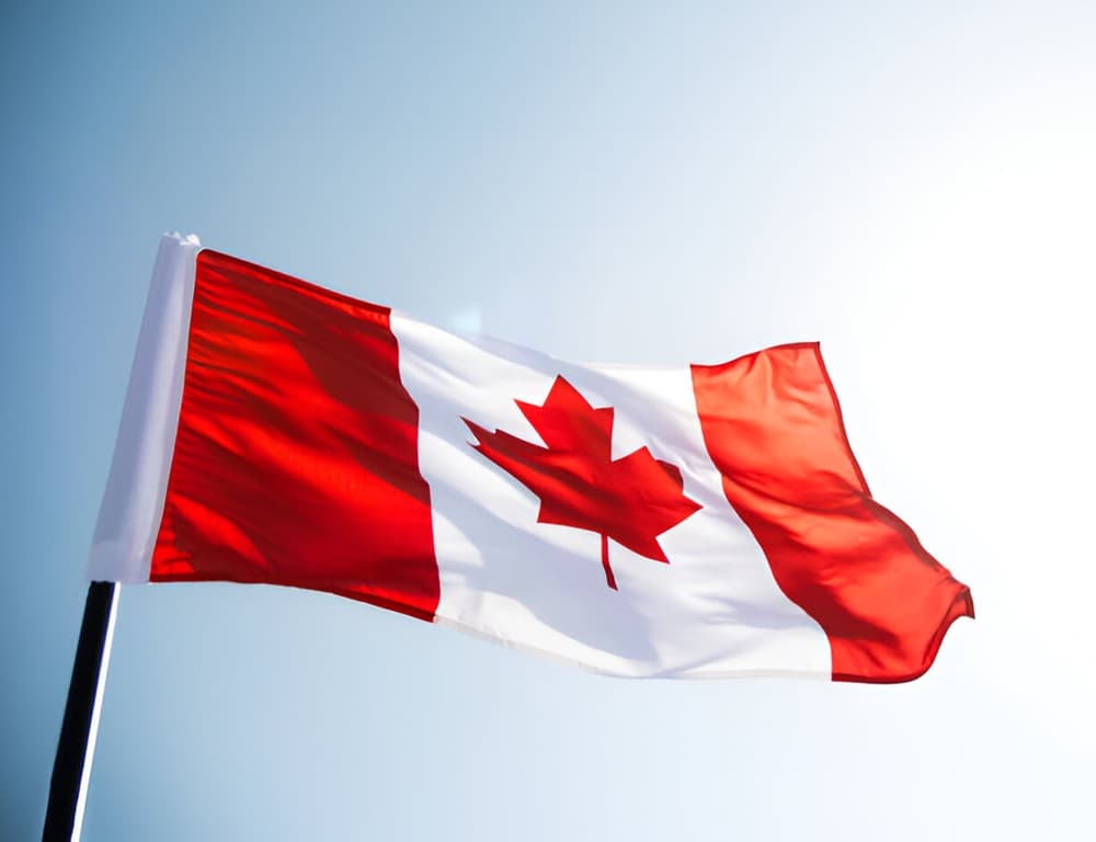 2 Stocks to Buy on U.S.-Canada Trade War Fears