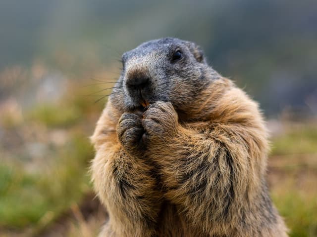 Groundhog Day for Trump and Iran? 8 Key Items Shaping the Stock Market Monday