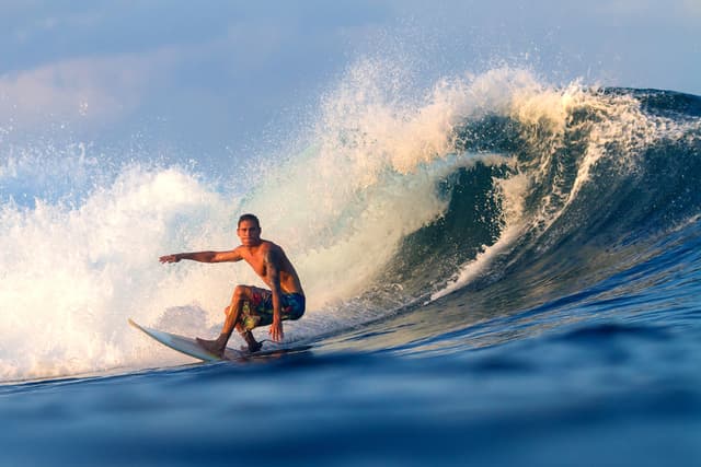 Weekly Roundup: A Hot Start to August as Portfolio Catches a Wave