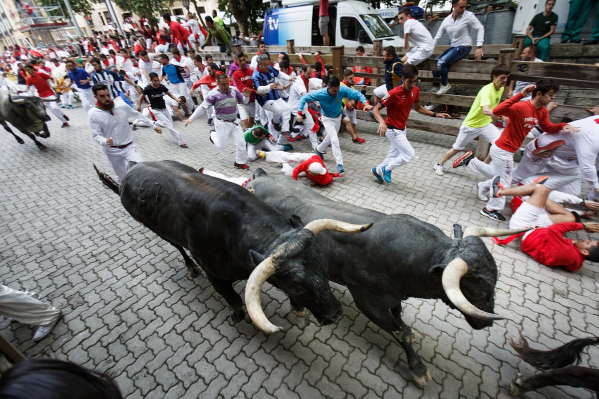 Bulls Rush In