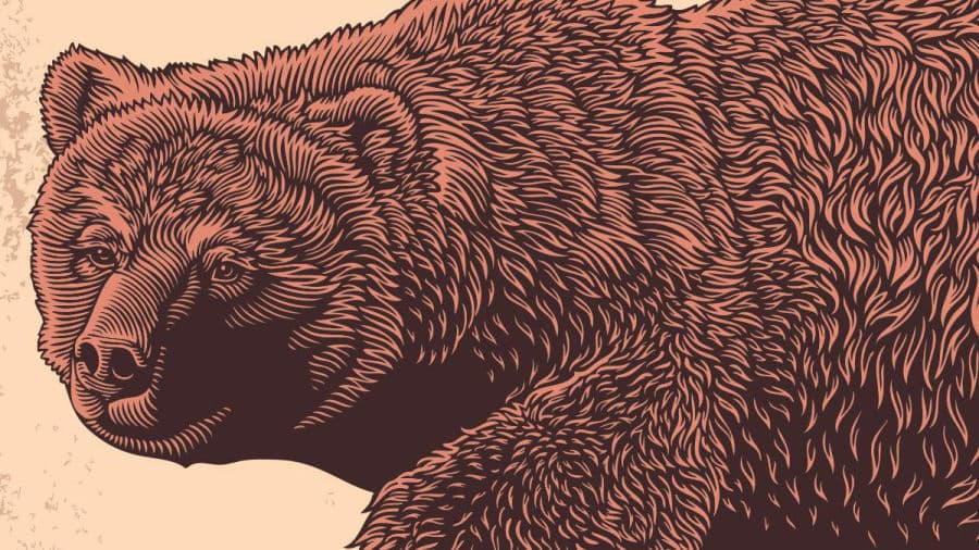 A Slight Scent of Bear in the Air