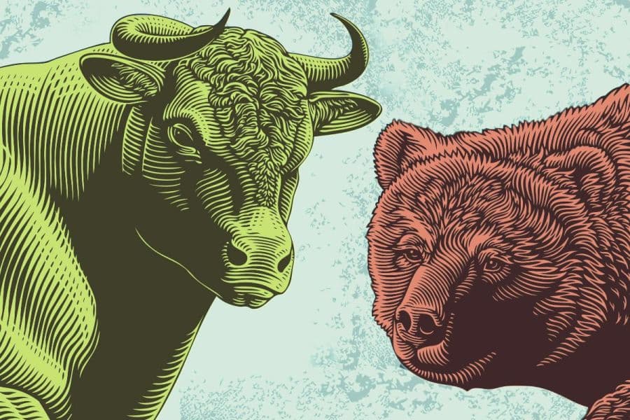A Bull Market and a Bear Market at the Same Time