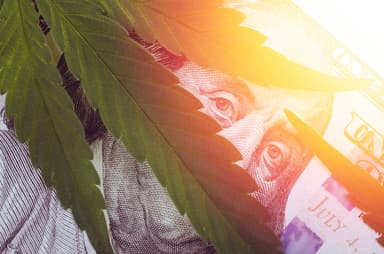 Doug Kass: Now’s Best Time Ever for Pot