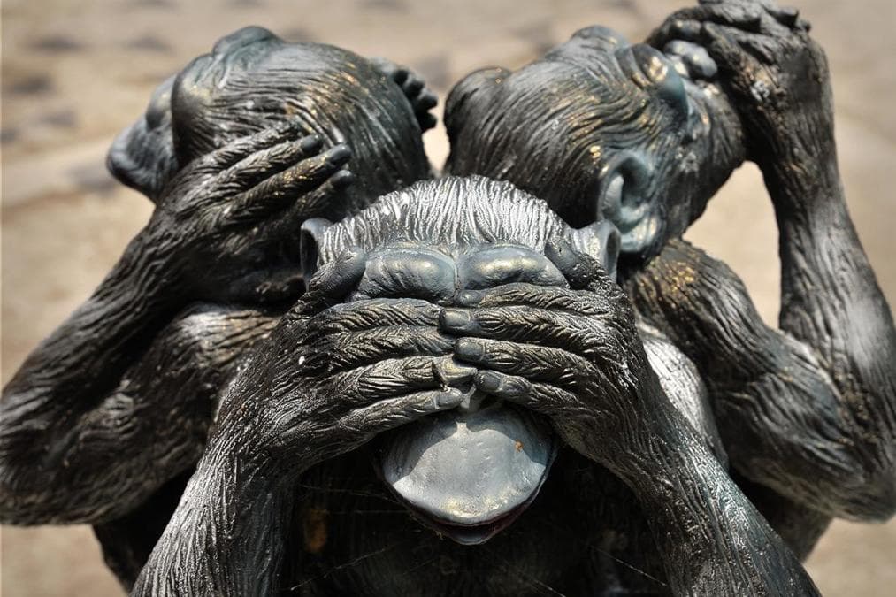 Doug Kass: This Market Sees No Evil, Hears No Evil