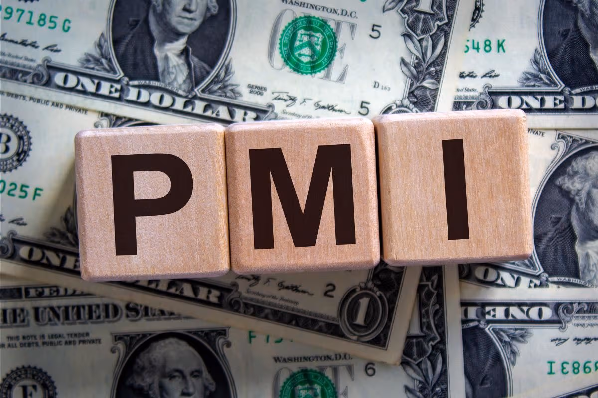 Flash May PMI Report Raises Fears of Stagflation
