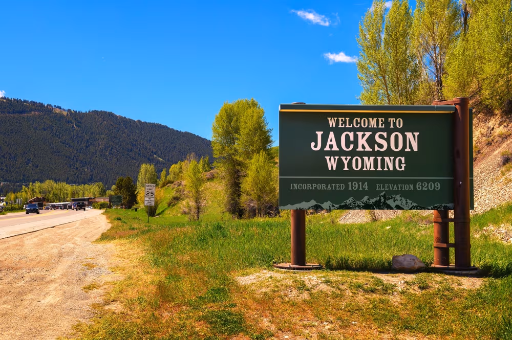 Jackson Hole and Nvidia Loom, but Don’t Forget the Elephant in the Room