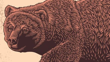 3 Stocks Bears May Want to Target Now